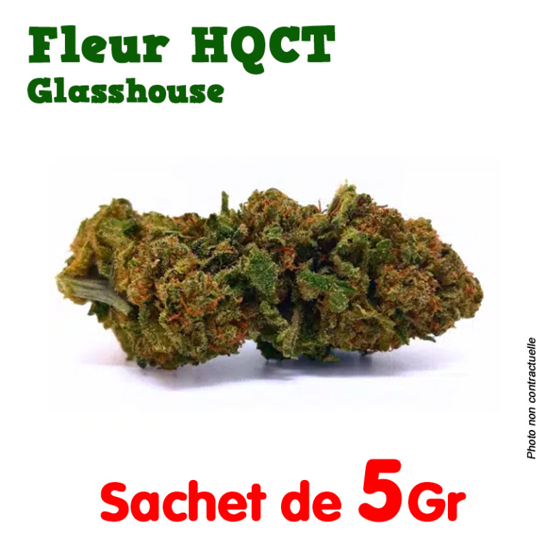 Fleur de CBD - HQCT – Glasshouse