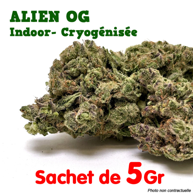 Fleur de CBD - Alien OG - Indoor Cryogénisée