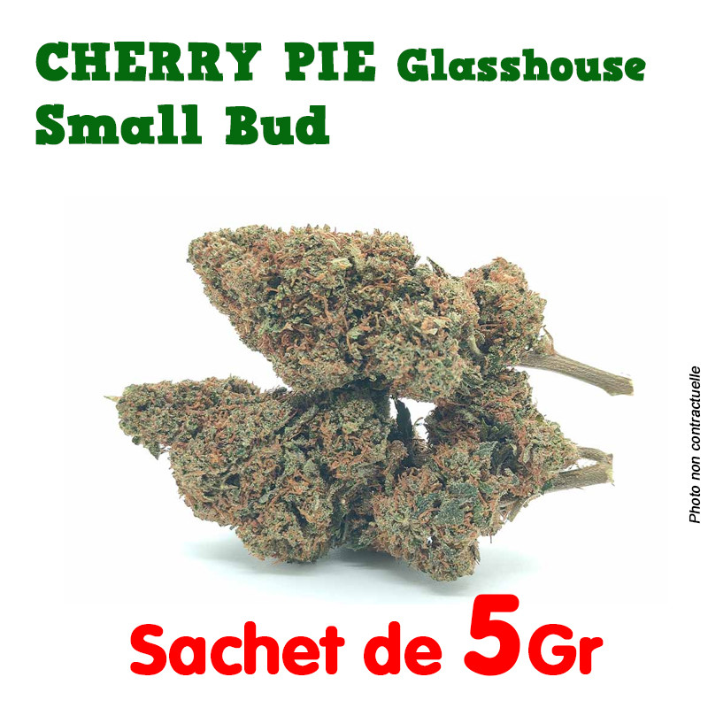 Fleur de CBD - Cherry Pie Glasshouse small bud ar.