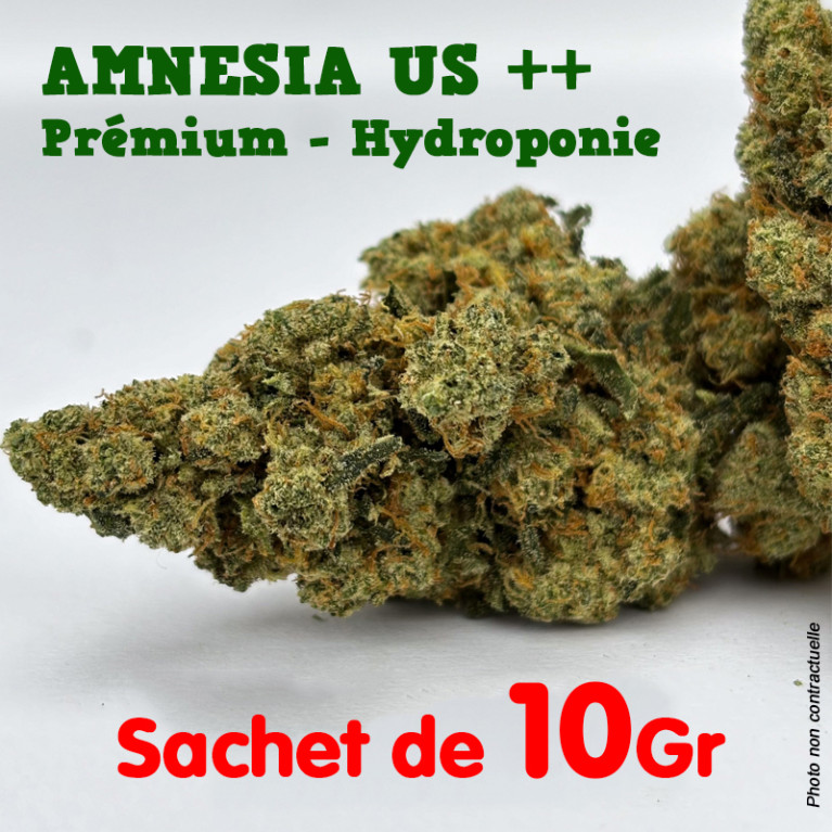 Fleur de CBD - Amnesia US - Indoor Premium ++