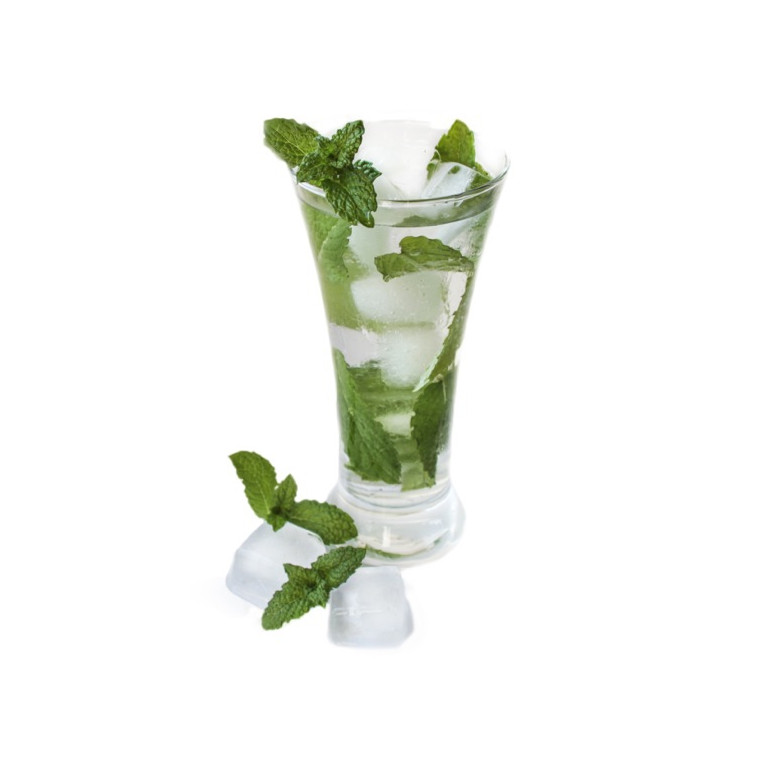 Menthe Glaciale Gaïatrend