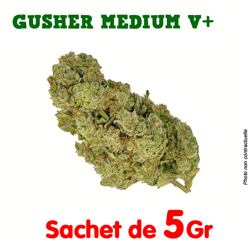 Fleur de CBD - Gushers Médium - V+