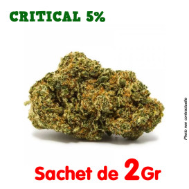 Fleur de CBD : Critical 5%
